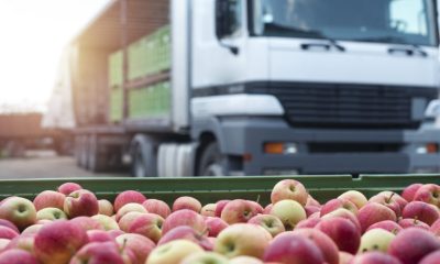 FoodDistributionAppleTruck_Lead