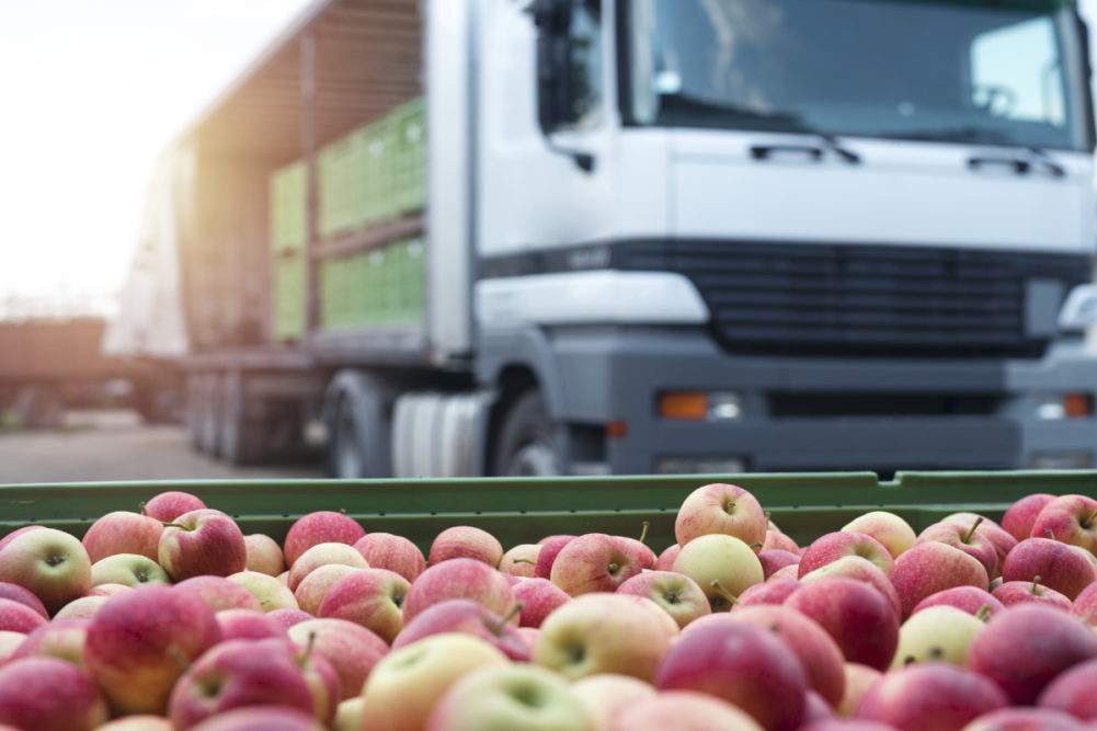 FoodDistributionAppleTruck_Lead